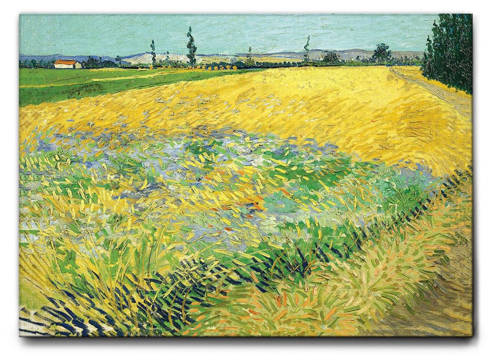 Giallobus - Weizenfeld - Vincent Van Gogh - 100L x 70B cm - Bild - Leinwand mit Standardrahmen