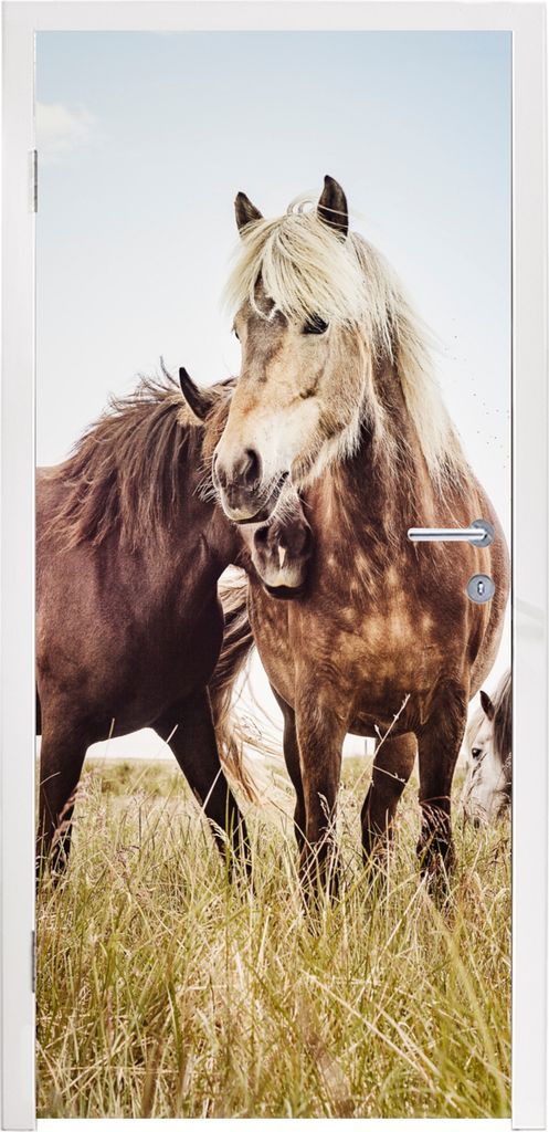 MuchoWow Türtapete Selbstklebende Türfolie Pferde - Gras - Frühling 85x205 cm Türposter Türaufkleber Klebefolie Türklebefolie - Türverzier...