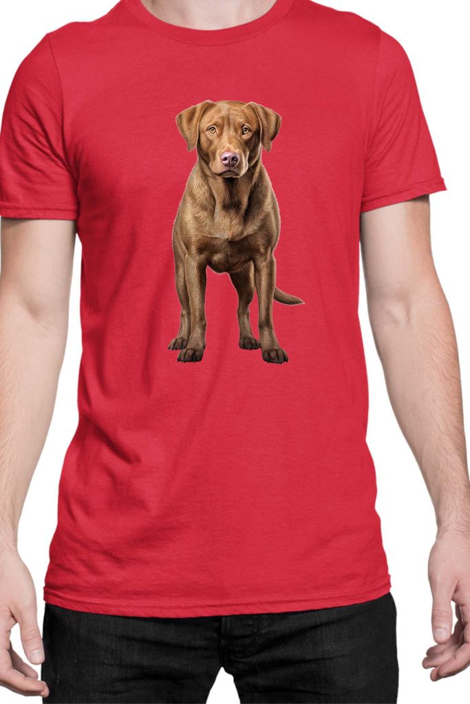 Herren T-Shirt Dogs Breeds Chesapeake Bay Retriever Dog Breed 005, Man S / Rot
