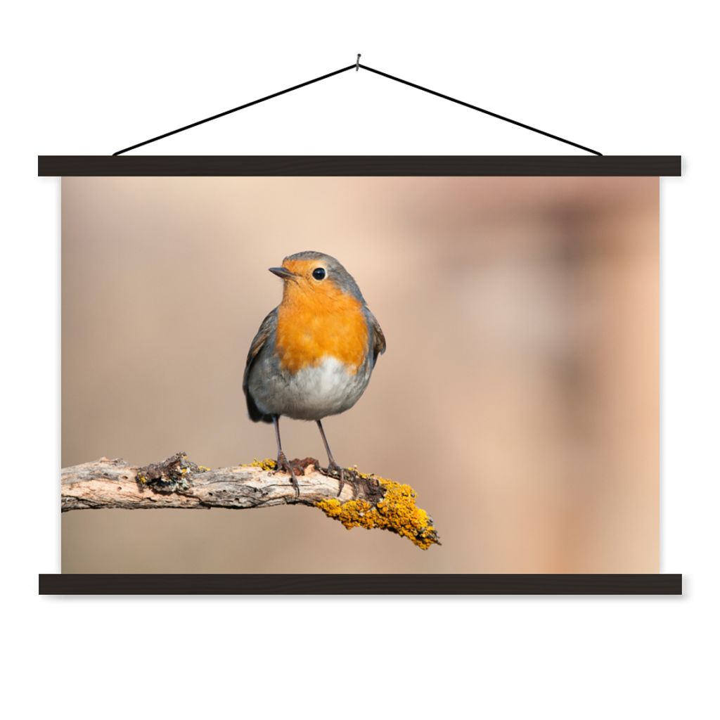 MuchoWow Textilposter Rotkehlchen - Vogel - Zweig - Tiere 120x80 cm mit schwarzem Rahmen - Wanddeko