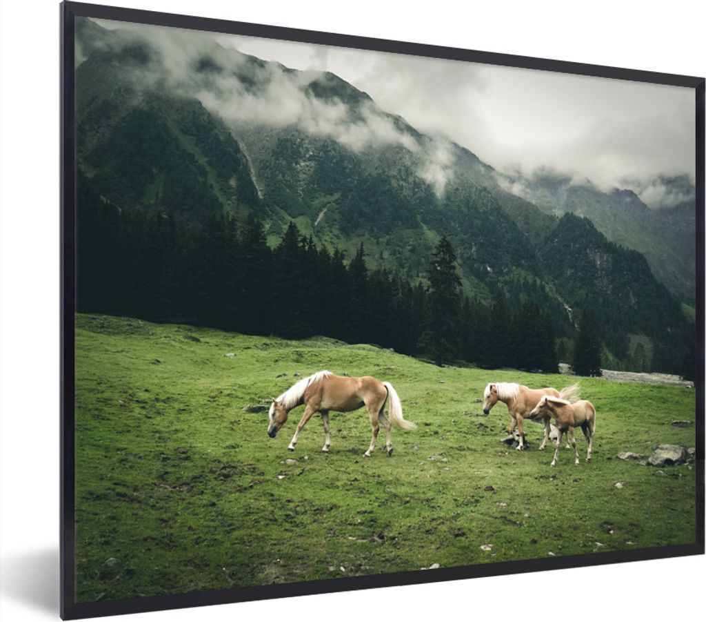 MuchoWow Gerahmtes Poster Drei Haflinger Pferde 80x60 cm - Poster mit Schwarzem Bilderrahmen Wandposter Rahmen Foto Bilder - Schwarzem - Mit Gestell