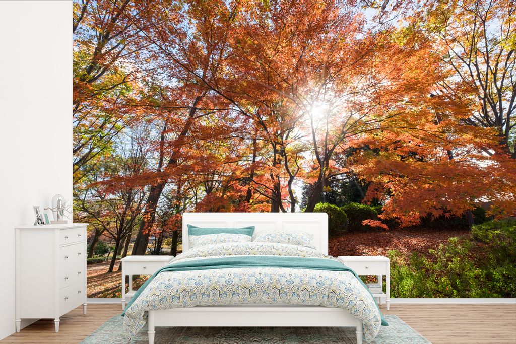 MuchoWow Fototapete für Wohnzimmer oder Schlafzimmer Wandtapete Vinyl Motivtapete Sonnenlicht durch einen japanischen Ahorn im Park - 390x260 cm...