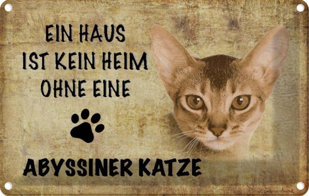 vianmo Blechschild 20x30 cm Abyssiner Katze ohne kein Heim
