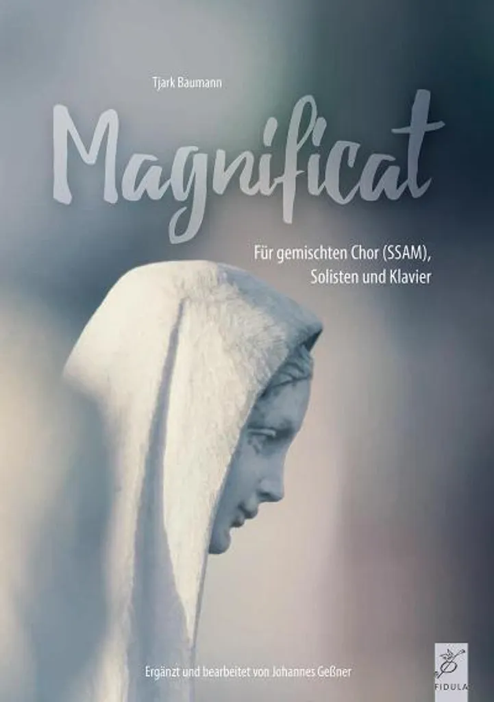 Magnificat Spray Nettoyant Écrans Antistatique sans Traces pour PC TV