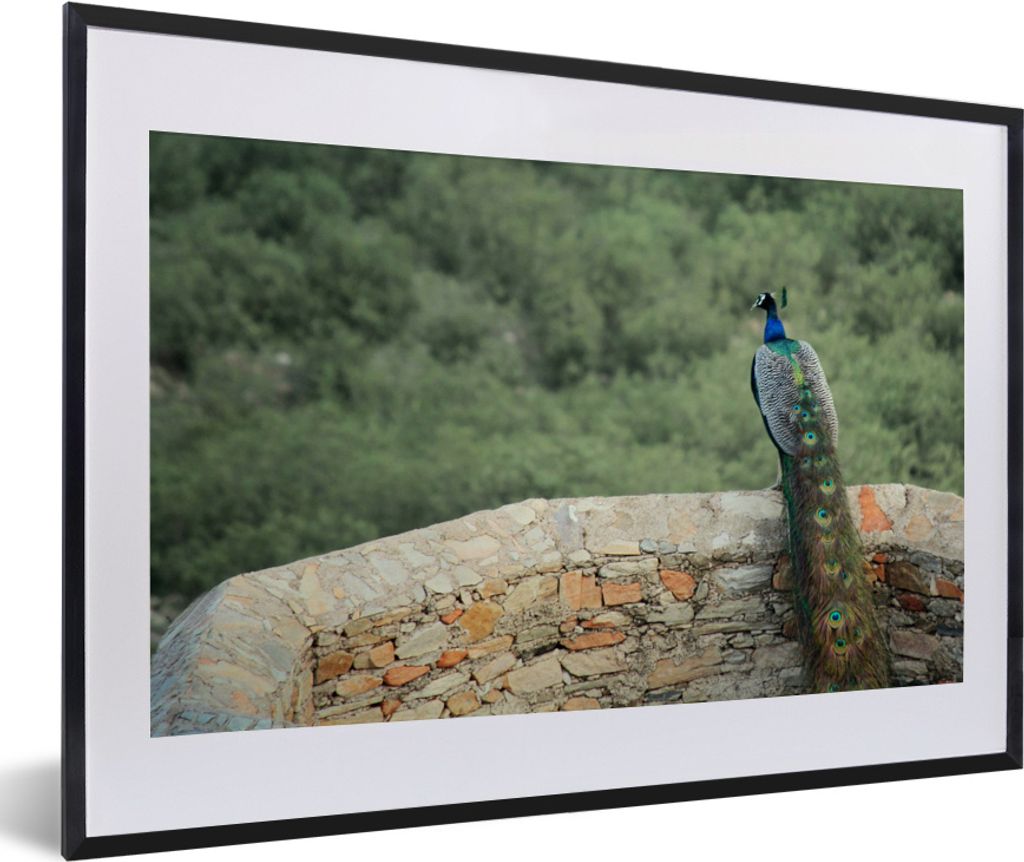 MuchoWow® MuchoWow® Gerahmtes Poster Pfau - Wand - Wald Produktbild 
