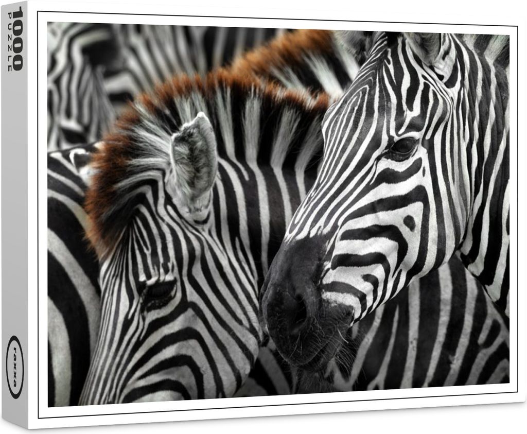 raxxa Premium-Puzzle "Zebra Kopf", 1000 Teile