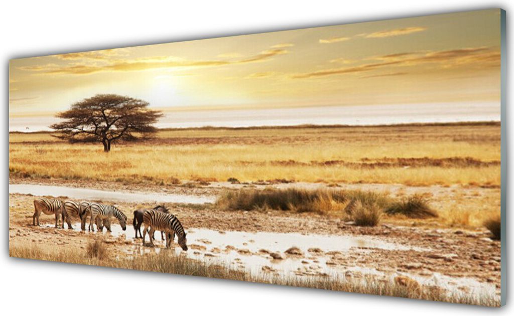 Acrylglasbilder 125x50 Wandbild Druck Wüste Landschaft