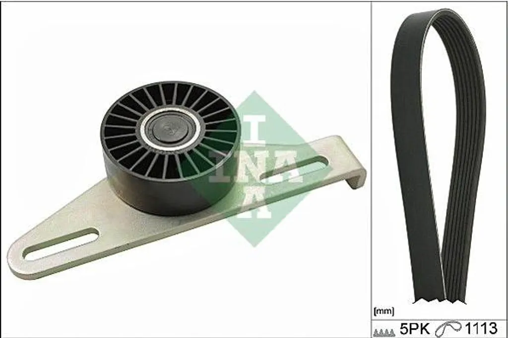 Supprimez les Bruits Moteur avec le Kit Courroie INA pour Clio et Megane