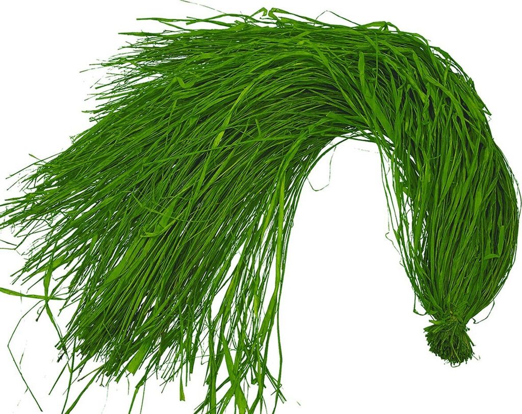 Dekoband Raffia Bast 500g moosgrün Raffiaband Schleifenband Produktbild 
