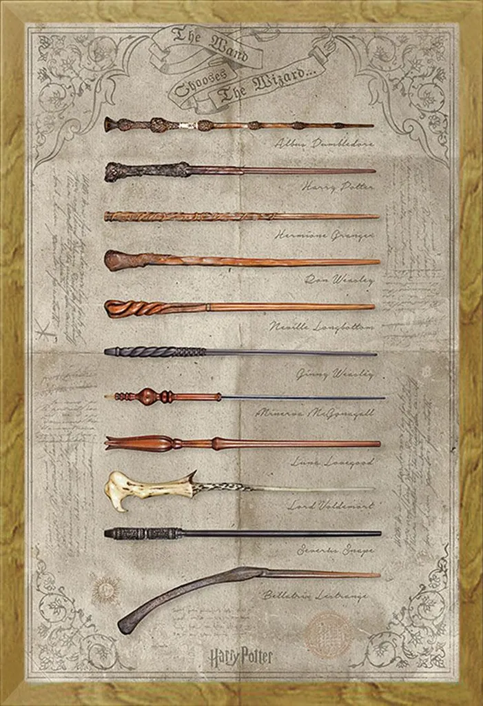 Offerta Poster Harry Potter + Cornice Shinsuke Rovere Disco Acrilico