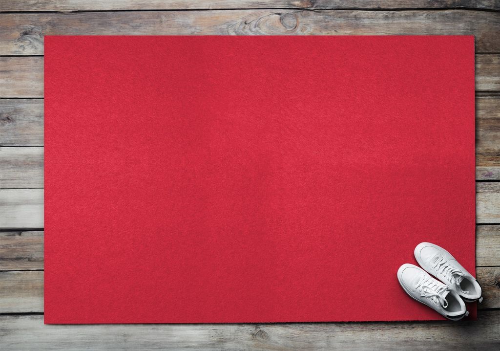 Fußmatte Aussen - Schuhmatte Haustür- Schmutzfangmatte Türvorleger - Outdoor Teppich Schmutzfänger - 150x100 cm - Rotes Quartett