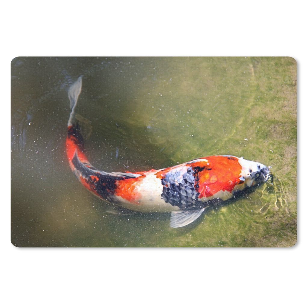 MuchoWow Schreibtischunterlage Ein Koi-Karpfen auf dem Grund eines Teiches 60x40 cm - XXL Mauspad - Großes Mauspad