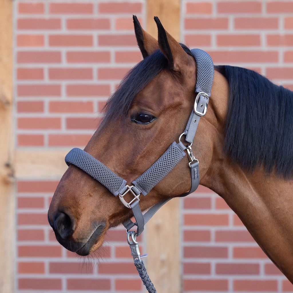 BUSSE Halfter 3D AIR EFFECT PRO in drei Farben, Gurthalfter, Farbe:grau, Größe:P