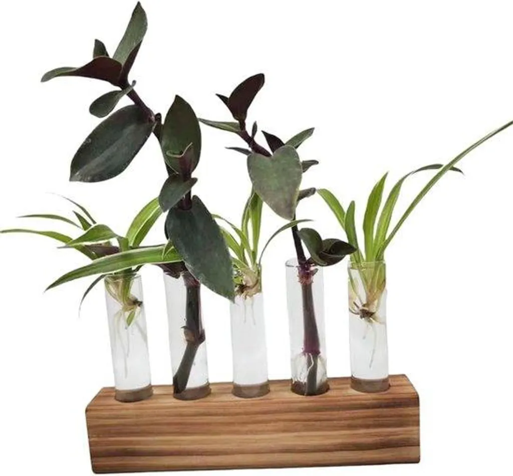 Soliflore en verre avec support en bois pour décoration intérieure