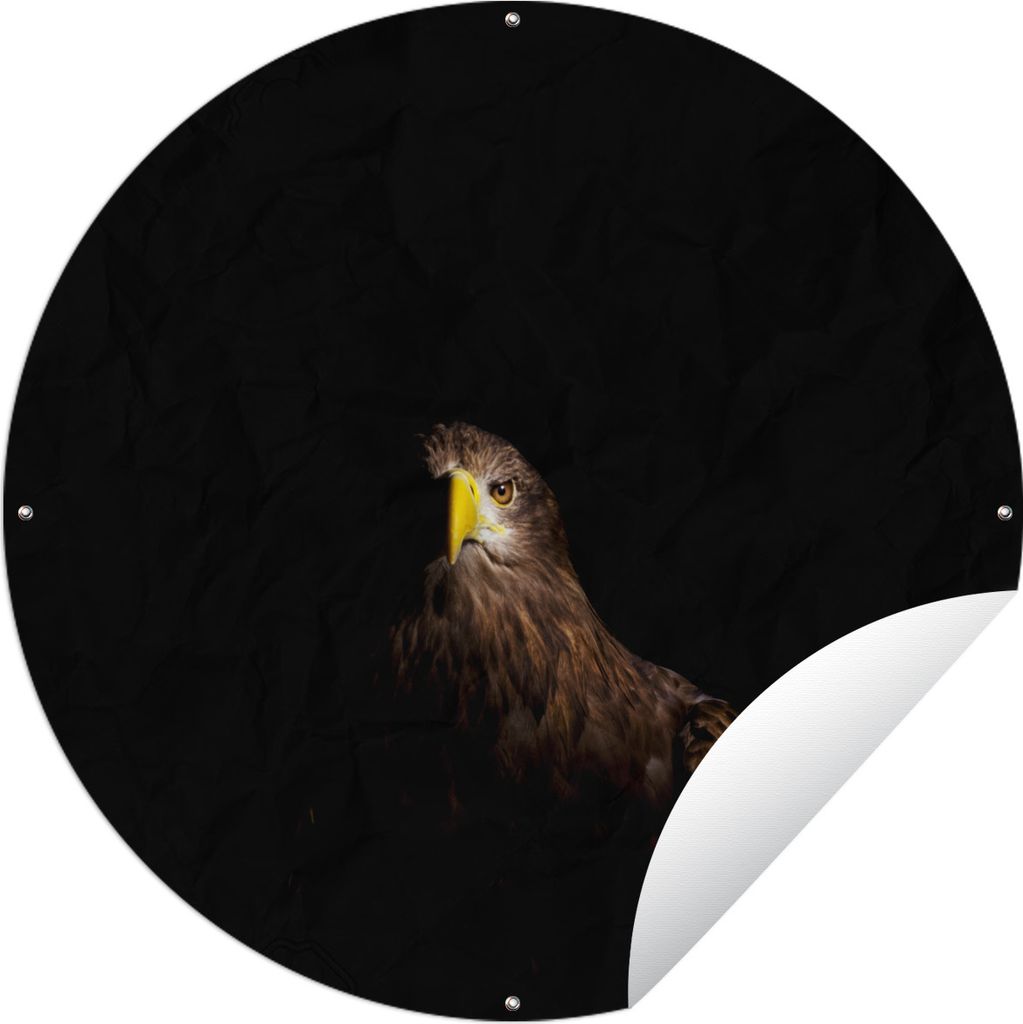MuchoWow Gartenposter Outdoor-Poster Rund Europäischer Seeadler auf schwarzem Hintergrund Ø 60 cm Gartendeko Rundes Poster draußen