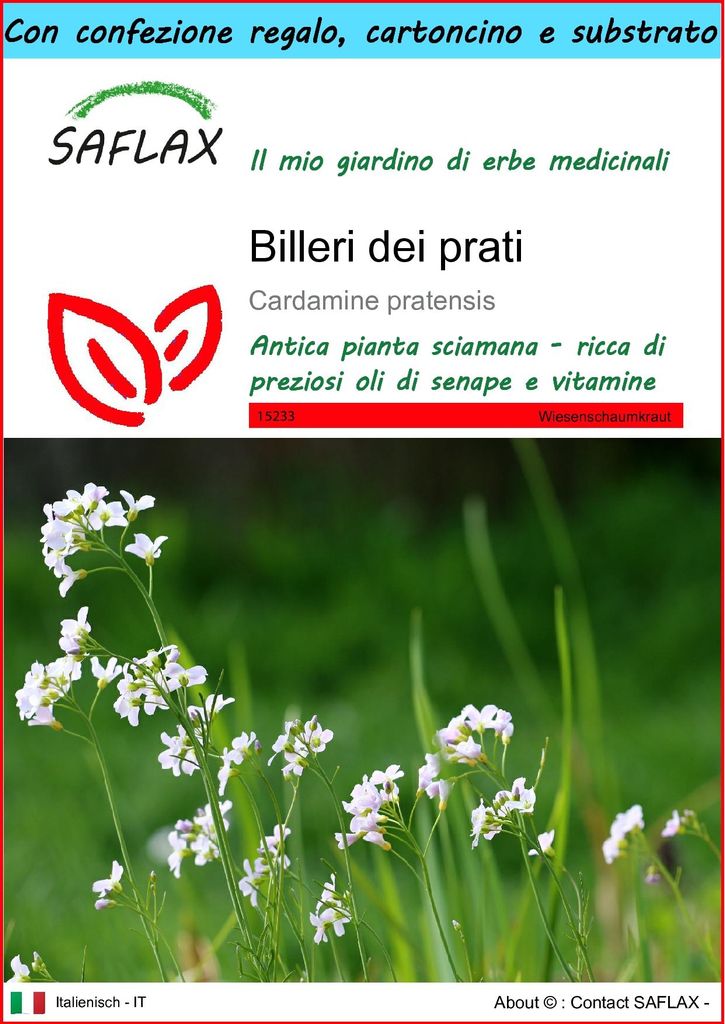 SAFLAX Set regalo - Billeri dei prati - 100 semi - Immagine del prodotto 