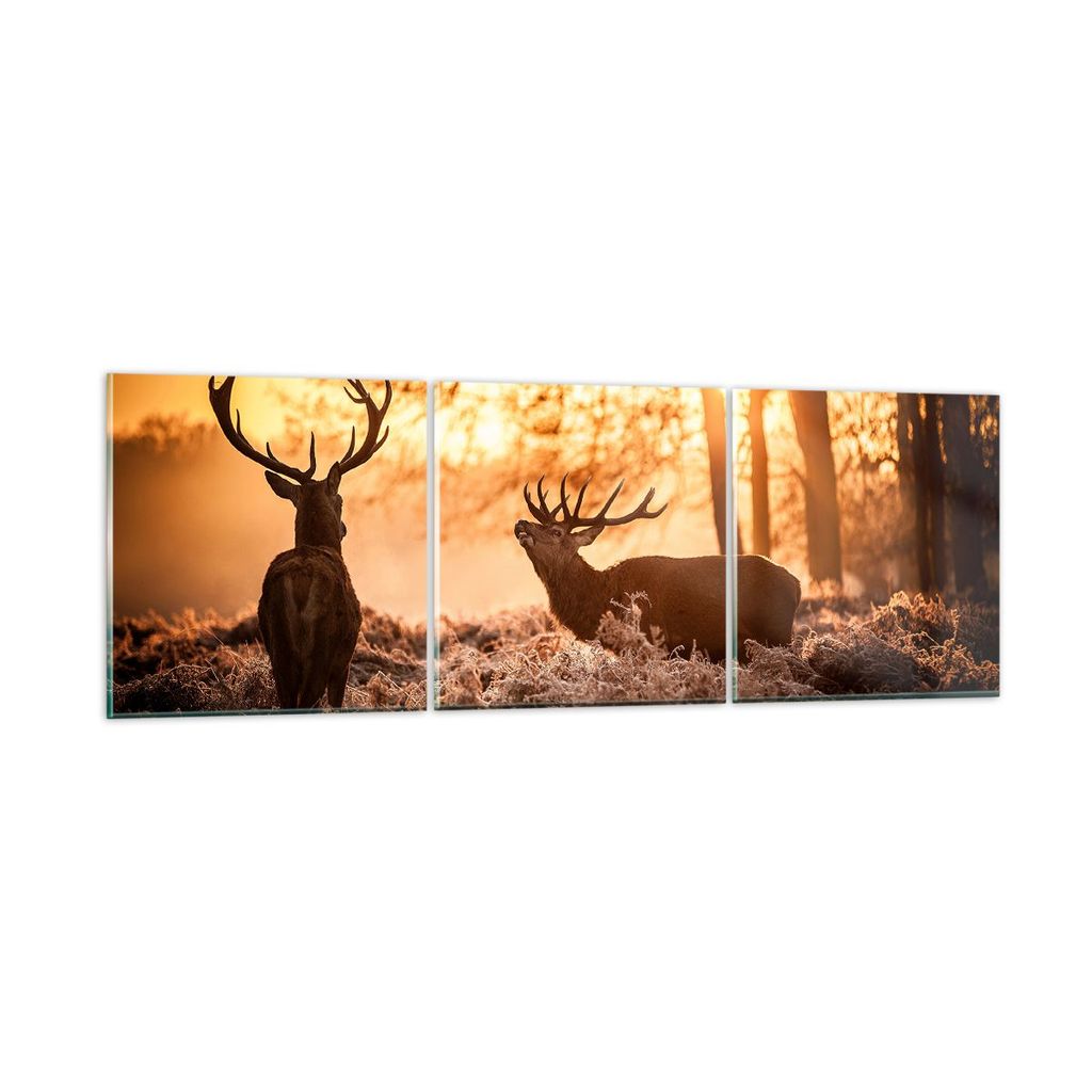 Bilder auf glas - Deer Heidekraut Tier - 150x50cm - Glasbilder - Wandbilder - Kunstdruck - zum Aufhängen bereit - Wanddekoration aus Glas - Glas B...