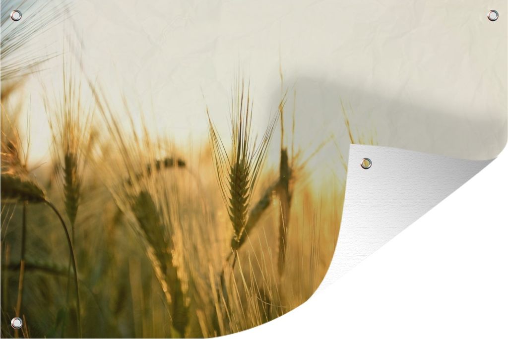 MuchoWow 60x40 cm Outdoor-Poster Gartendeko Sichtschutz Garten Poster für den Garten Illustration eines Getreidefeldes bei Sonnenaufgang