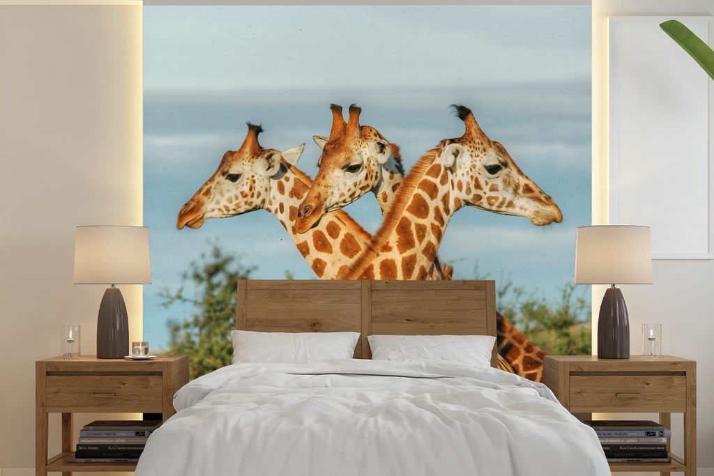 MuchoWow Fototapete für Wohnzimmer oder Schlafzimmer Wandtapete Vinyl Motivtapete Giraffen - Luft - Tiere - 300x300 cm - Wanddekoration
