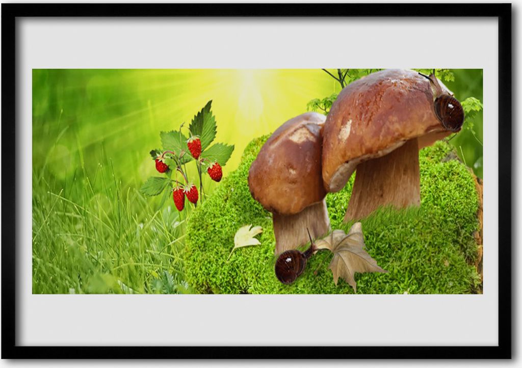 Bild 70x50 MDF-Rahmen Wandkunst Pilze Früchte Erdbeeren