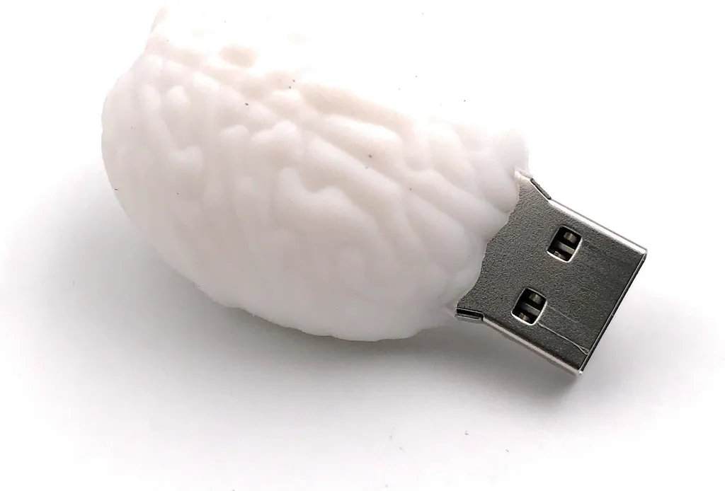 Offerta Onwomania USB Brain 32GB - Chiavetta Divertente Bianco
