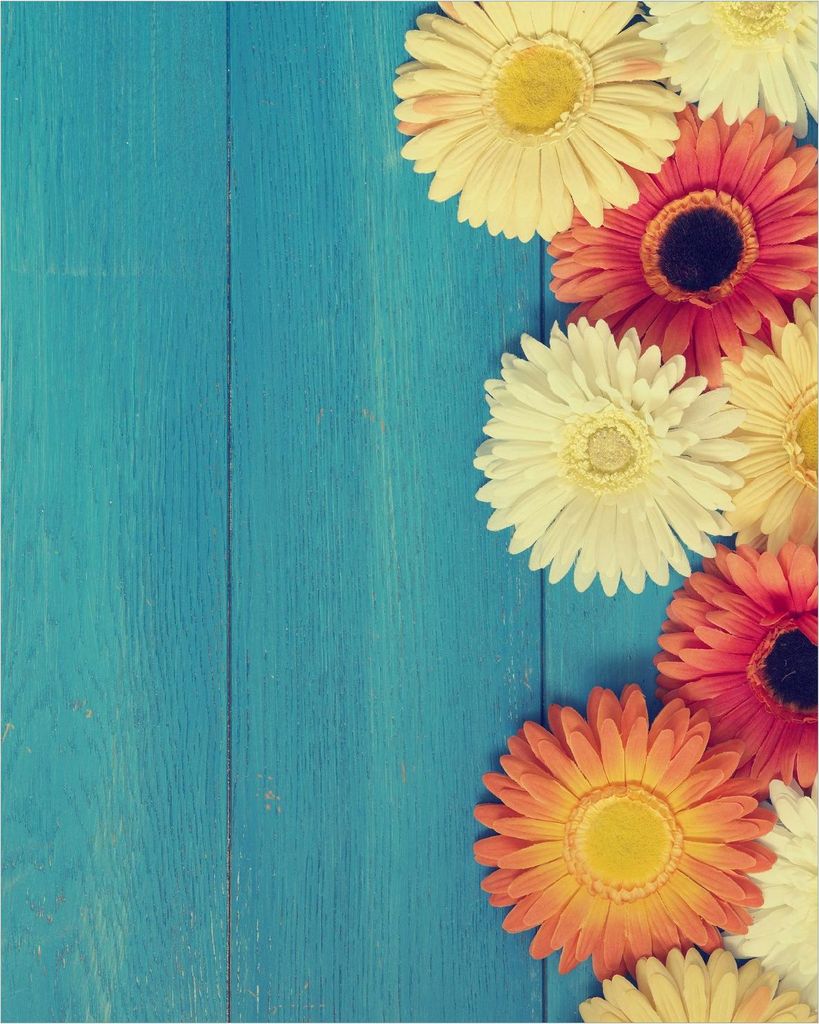 Wallario Poster - Bunte Gerbera auf Holz, Kunstdruck Größe: 40 x 50 cm