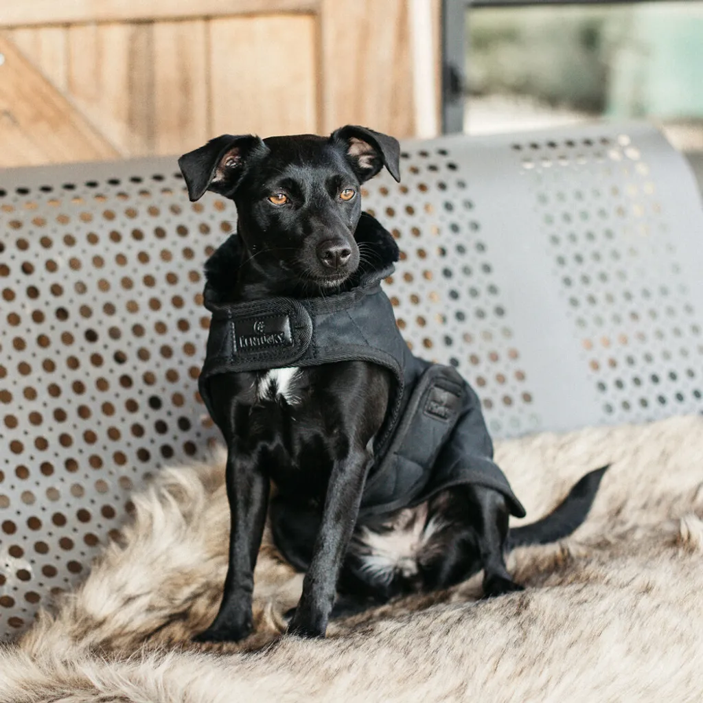 Kentucky Dogwear Cappotto originale per cani Nero XXL