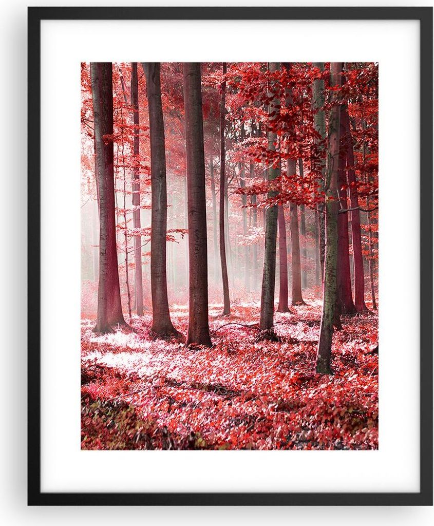 Gerahmtes Poster - Schwarzer Rahmen - Wald Rot Bäume - Produktbild 