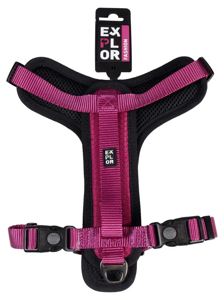 Bol repas chien Duvo+ Y Fashion fuchsia L - Accessoire grand chien idéal