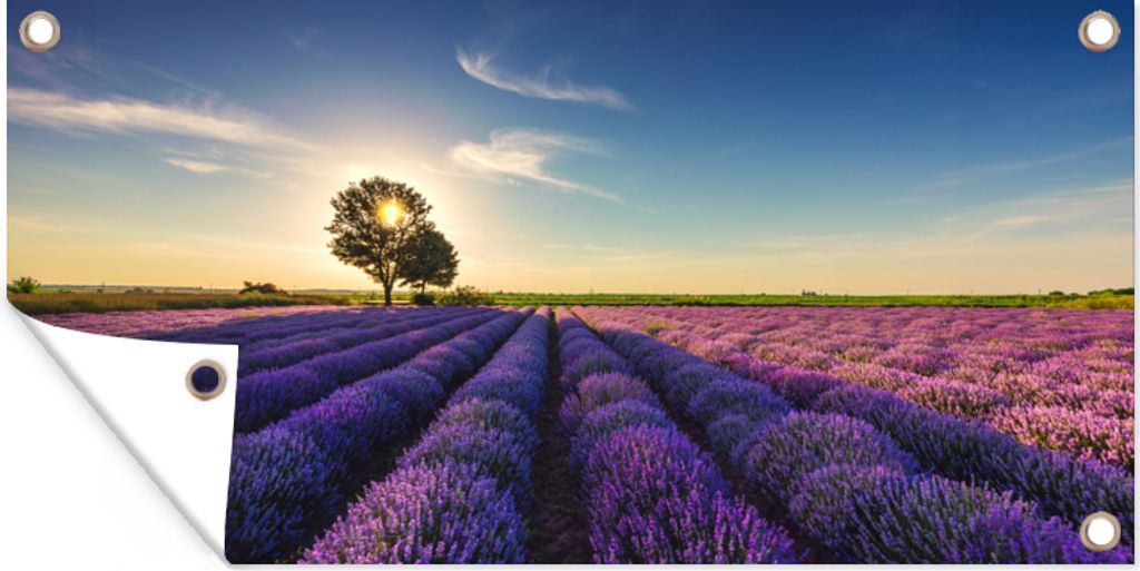 MuchoWow 80x40 cm Outdoor-Poster Gartendeko Sichtschutz Garten Poster für den Garten Lavendel - Sonne - Baum - Blumen - Lila