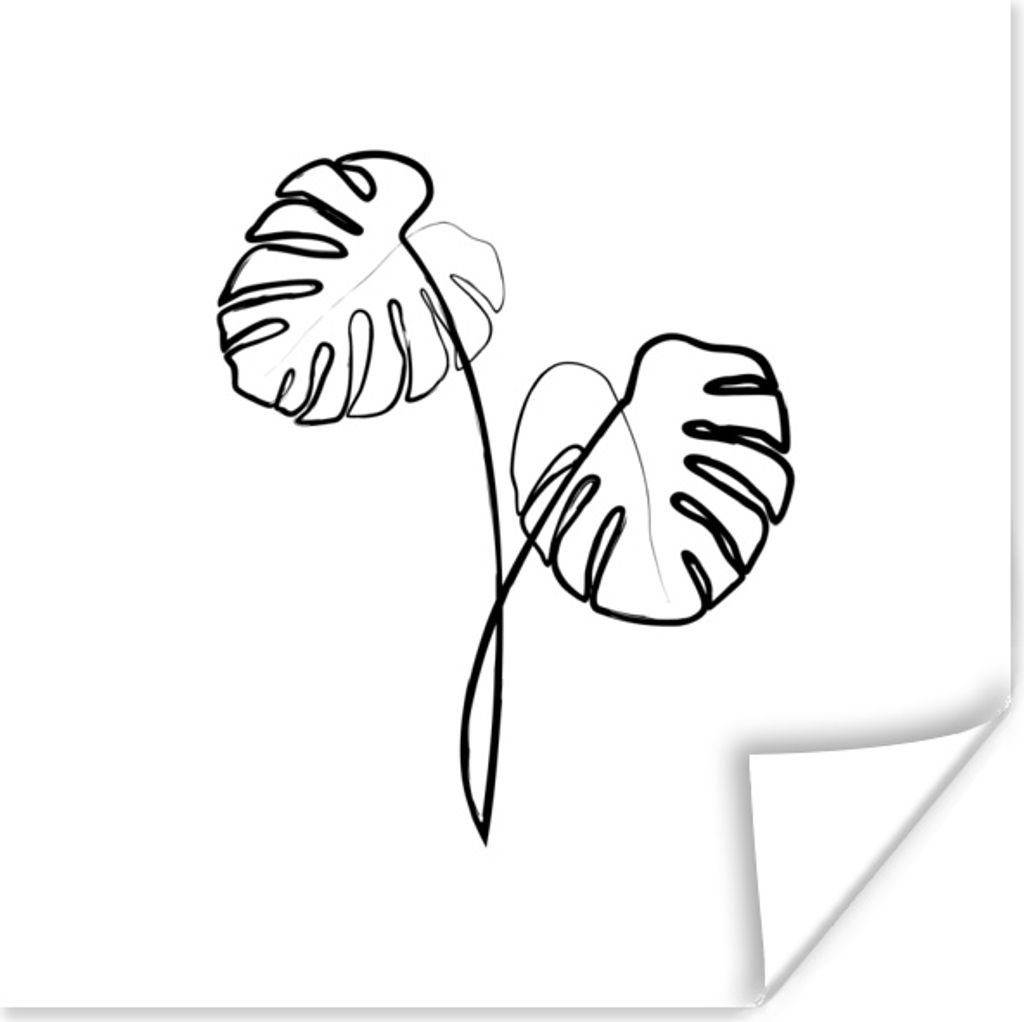 MuchoWow Poster Pflanze - Monstera - Strichzeichnung 30x30 cm - Wandposter - Printing
