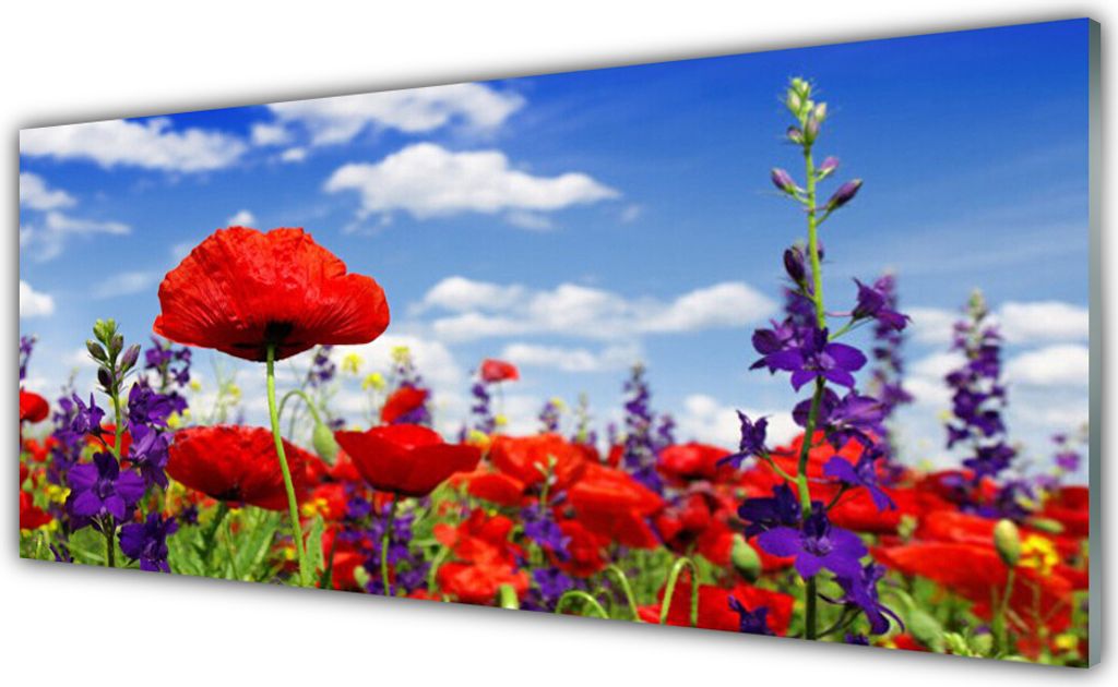 Küchenrückwand aus Glas 125x50cm Spritzschutz Blumen Natur
