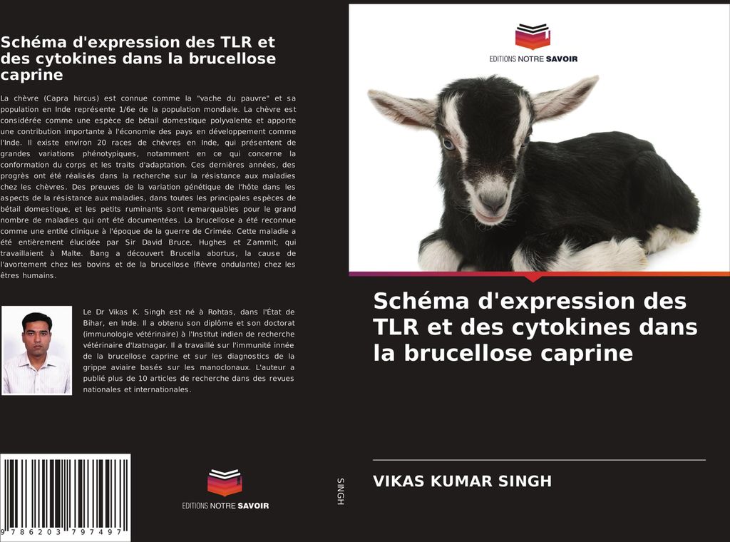 Schéma d'expression des TLR et des cytokines dans la brucellose caprine