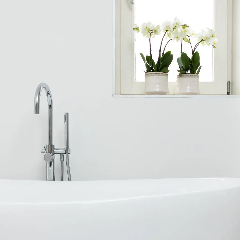 Orchidée Blanche Phalaenopsis pour Décoration Maison - Pot de 12 cm