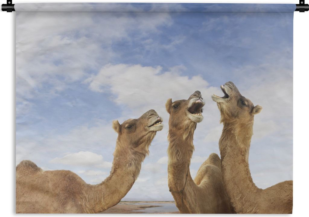MuchoWow Wandteppich Wandbehang Kamele in Indien 60x45 cm Tapisserie Dekoration Wandtuch - Das Schlafzimmer