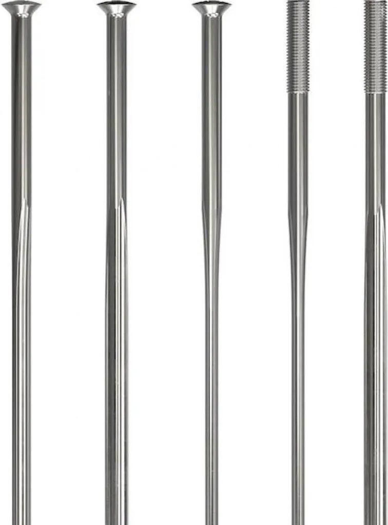 Rayons DT Swiss Revolite 300 mm contre la casse de rayon de vélo