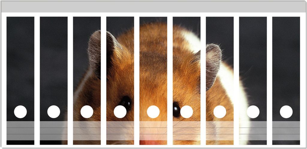 Wallario Ordnerrücken Sticker, selbstklebend für breite Ordner, 9 Stück, Motiv Putziger Hamster mit Nüssen zwischen den Pfoten