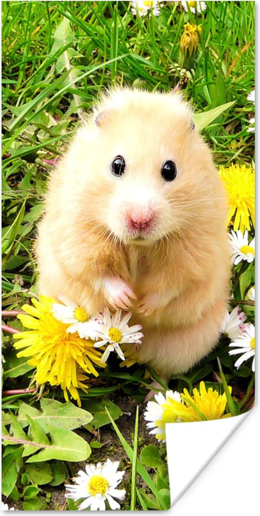 MuchoWow Poster Hamster zwischen Blumen 20x40 cm - Plakat - Foto
