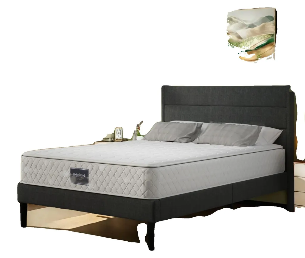 Matelas Ergonomique 90x200x25 cm avec Housse Respirante Blanc et Noir