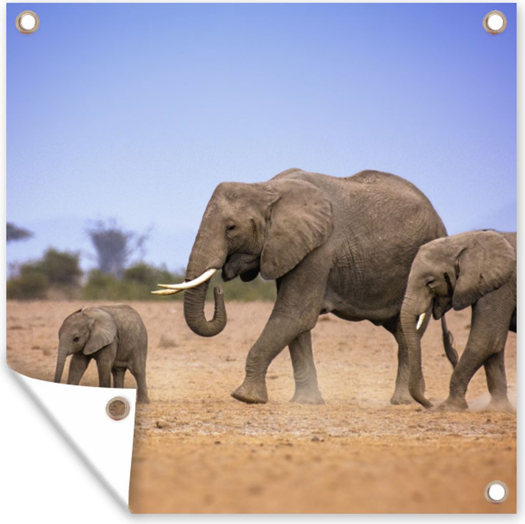 MuchoWow 50x50 cm Outdoor-Poster Gartendeko Sichtschutz Garten Poster für den Garten Elefantenfamilie mit ihrem Baby in Kenia