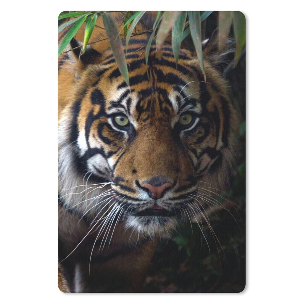 MuchoWow Mauspad Mousepad Tiger - Blätter - Dschungel - Tiere - Wild 18x27 cm - Mousepads - Maus Mat - Pad - Mausunterlage