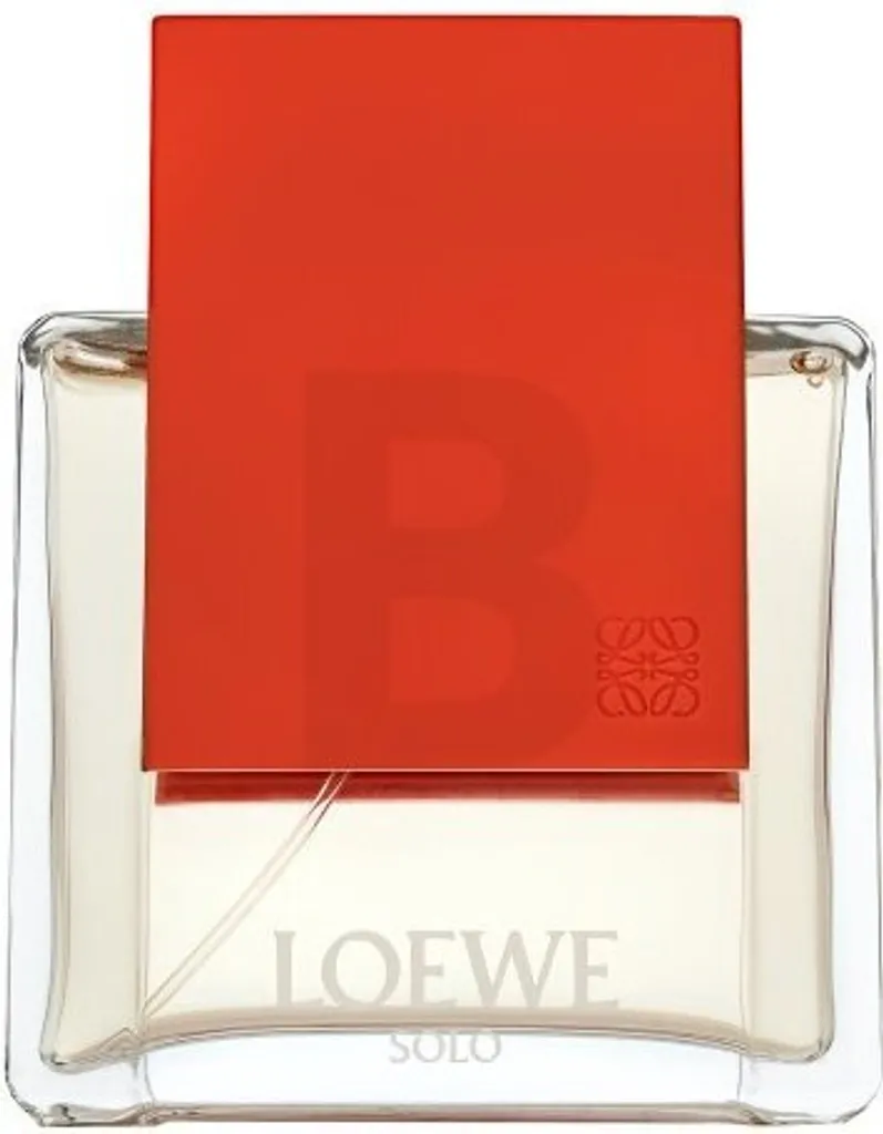Loewe Solo Ella Eau de Parfum 100ml