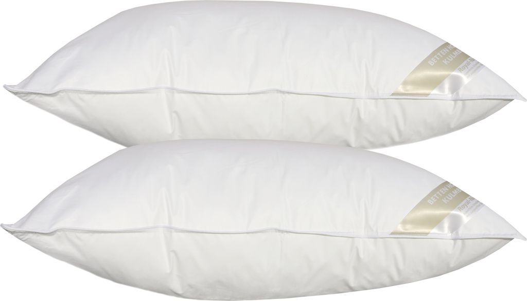 2 Stück Betten Hofmann Basic Allergiker Kopfkissen Faserkissen 50x75 cm 600 g