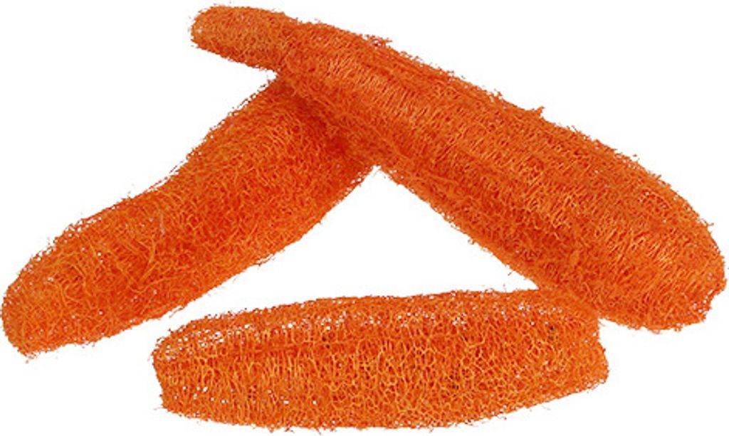 Luffa groß Orange 20 St - Schwammkürbis für Herbstdeko, Naturdeko, Blumenarrangement, 20 Stück