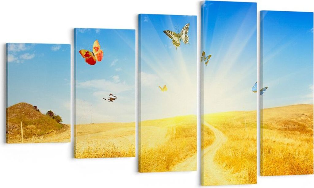 Bild auf Leinwand - Leinwandbild - Schmetterlinge Wiese Produktbild 