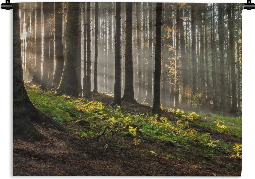 MuchoWow Wandteppich Wandbehang Sonne - Äste - Bäume - Wald - Natur 90x67.5 cm Tapisserie Dekoration Wandtuch - Fototeppich - Wand-Skulpturen