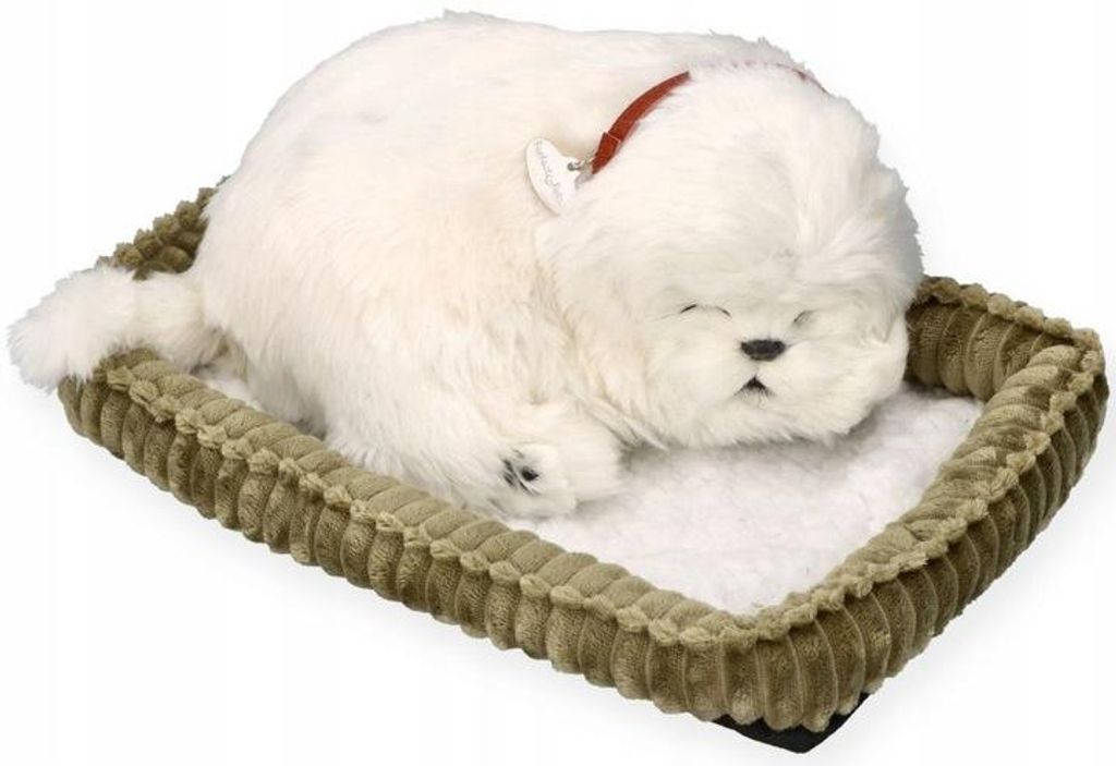 Perfect Petzzz – Priedušné šteniatko maltézskeho psíka – Obrázok produktu 