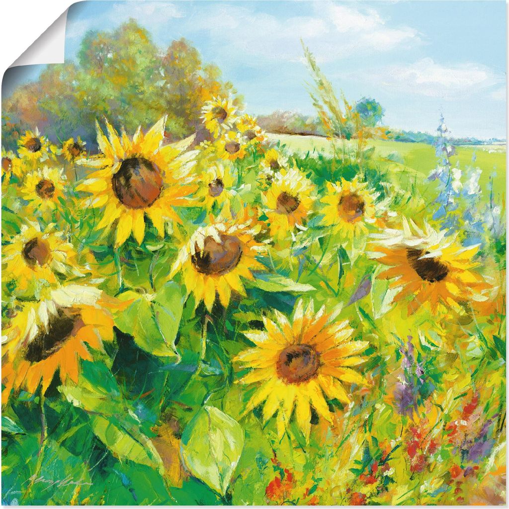 ARTland Poster Sommerwiese mit Sonnenblumen Größe: 50x50 cm