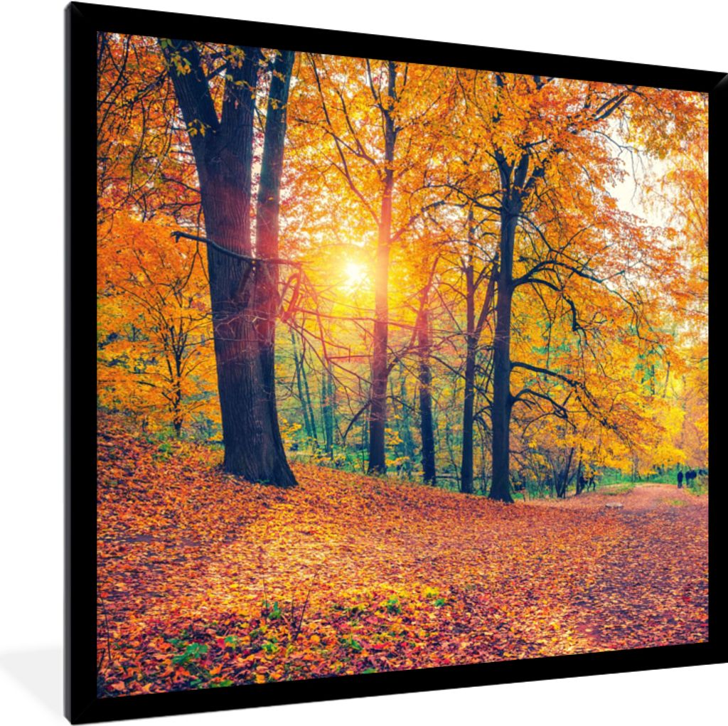 MuchoWow Gerahmtes Poster Bäume - Herbst - Wald - Herbstliche Blätter 40x40 cm - Poster mit Schwarzem Bilderrahmen Wandposter Rahmen Foto Bilde...