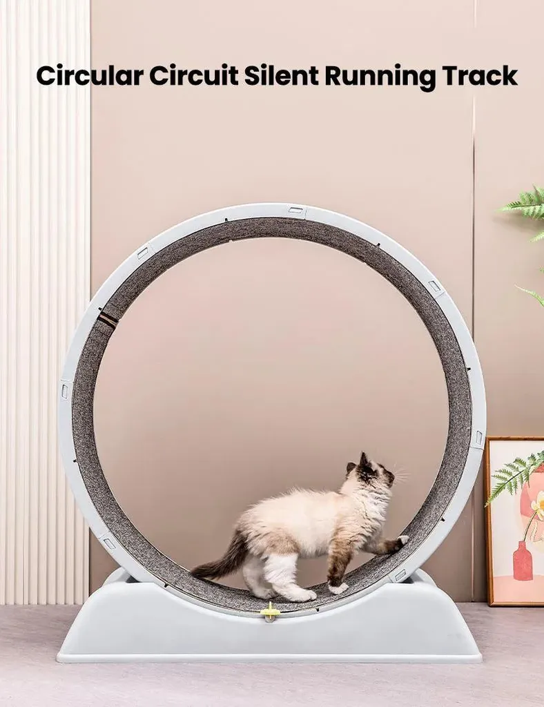 Ruota per Gatti Grigia Minimal 76cm | Accessorio Fitness Design Silenzioso - 10
